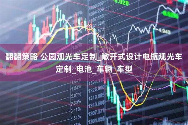 翻翻策略 公园观光车定制_敞开式设计电瓶观光车定制_电池_车辆_车型