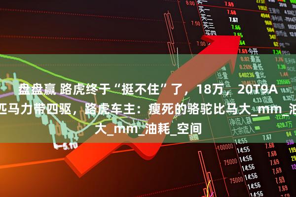 盘盘赢 路虎终于“挺不住”了，18万，20T9AT爆249匹马力带四驱，路虎车主：瘦死的骆驼比马大_mm_油耗_空间