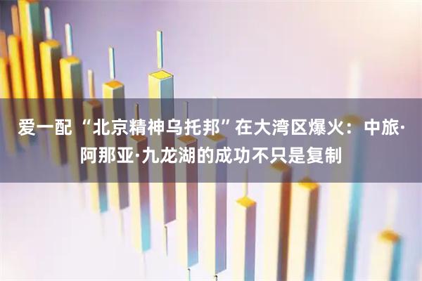 爱一配 “北京精神乌托邦”在大湾区爆火：中旅·阿那亚·九龙湖的成功不只是复制