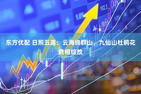 东方优配 日照五莲：云海绕群山，九仙山杜鹃花竞相绽放