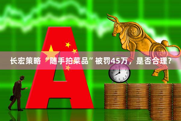 长宏策略 “随手拍菜品”被罚45万，是否合理？