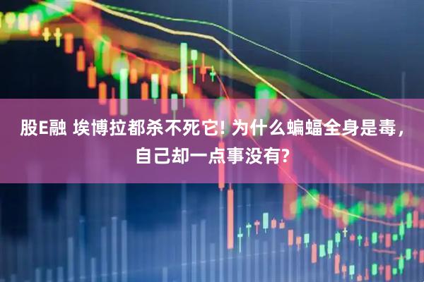 股E融 埃博拉都杀不死它! 为什么蝙蝠全身是毒,自己却一点事没有?