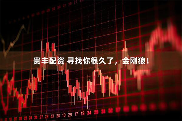 贵丰配资 寻找你很久了，金刚狼！